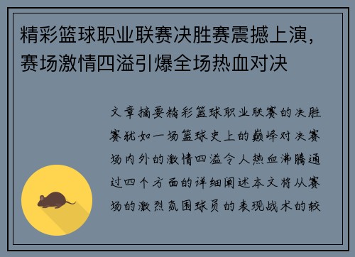 精彩篮球职业联赛决胜赛震撼上演，赛场激情四溢引爆全场热血对决