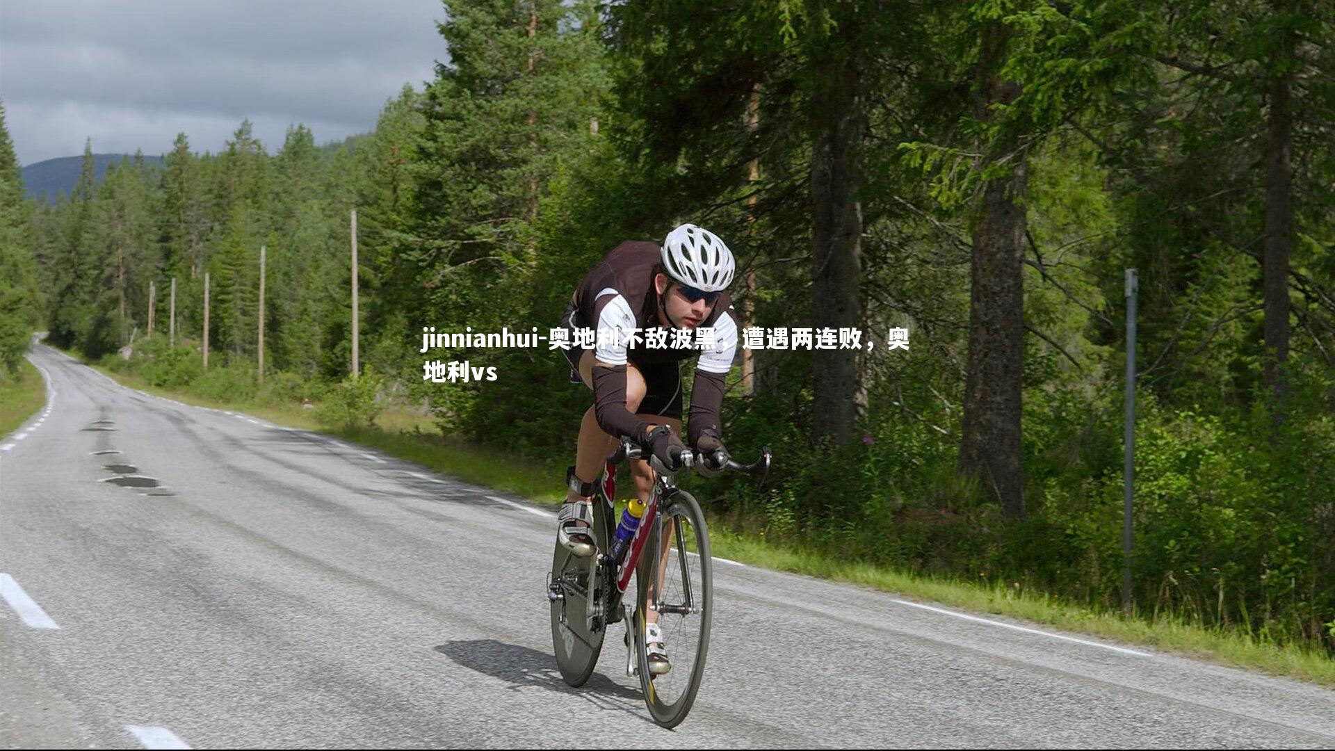 奥地利不敌波黑，遭遇两连败，奥地利vs