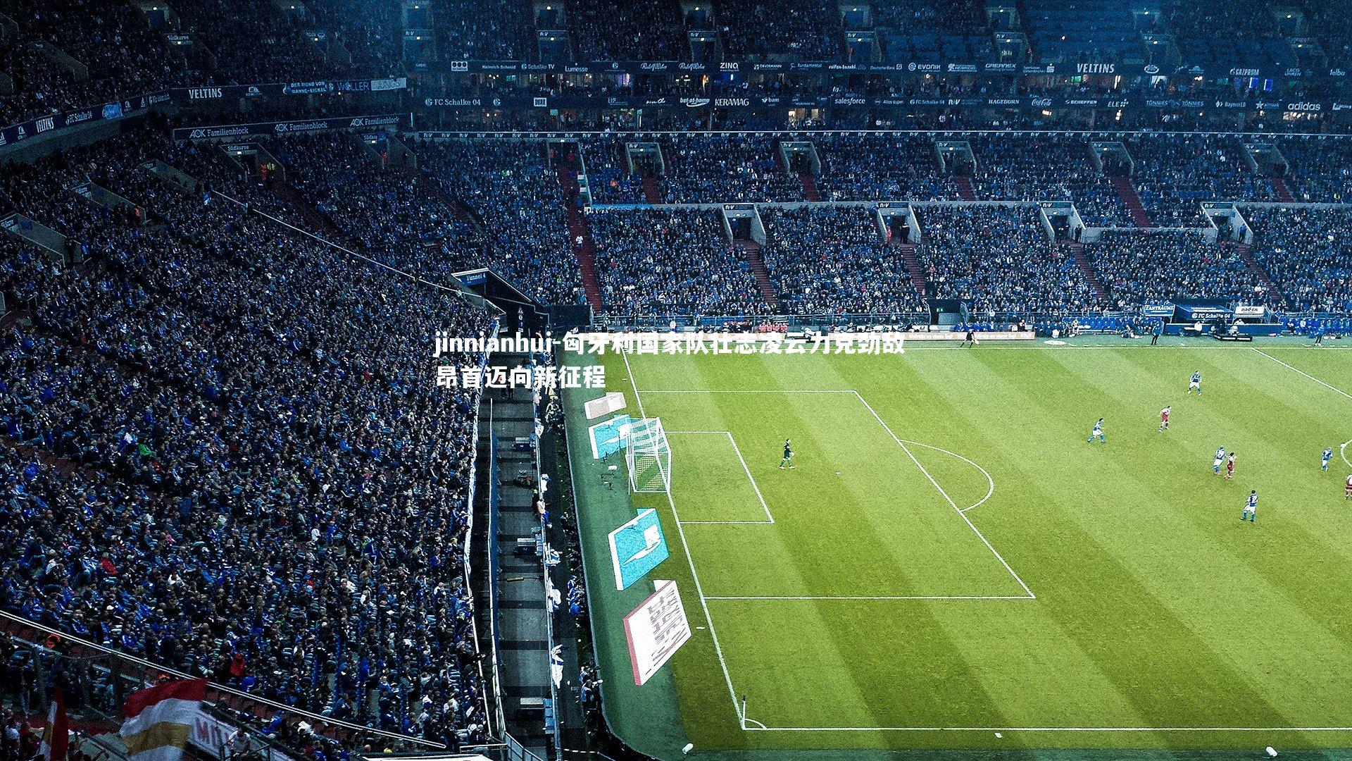 匈牙利国家队壮志凌云力克劲敌 昂首迈向新征程